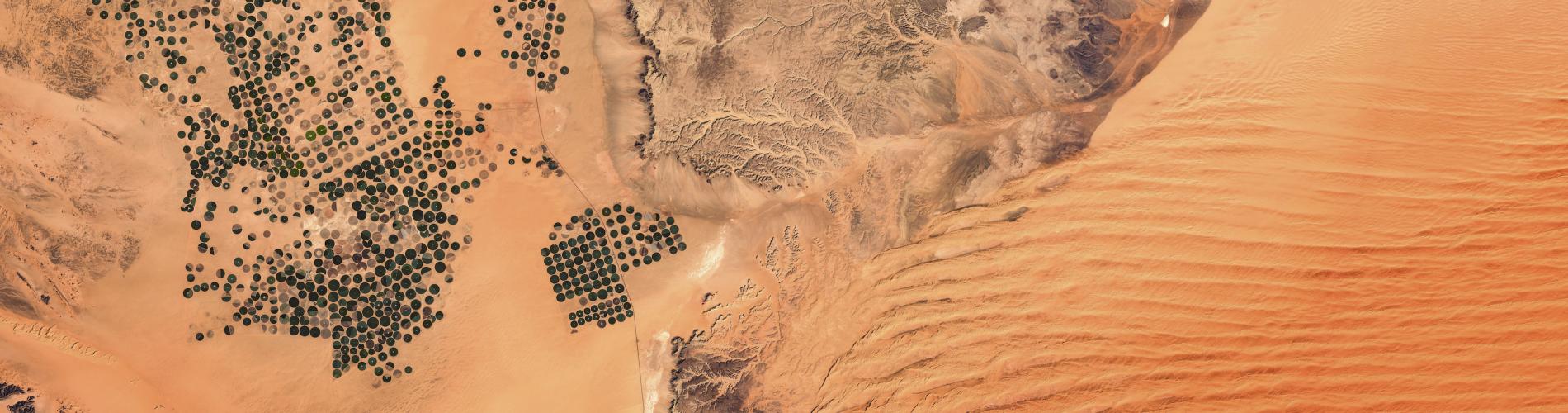Desert